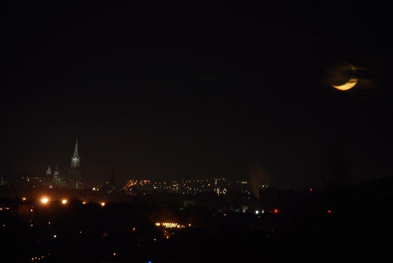 Ulmer Muenster Blick Elchingen Zewnętrze zdjęcie