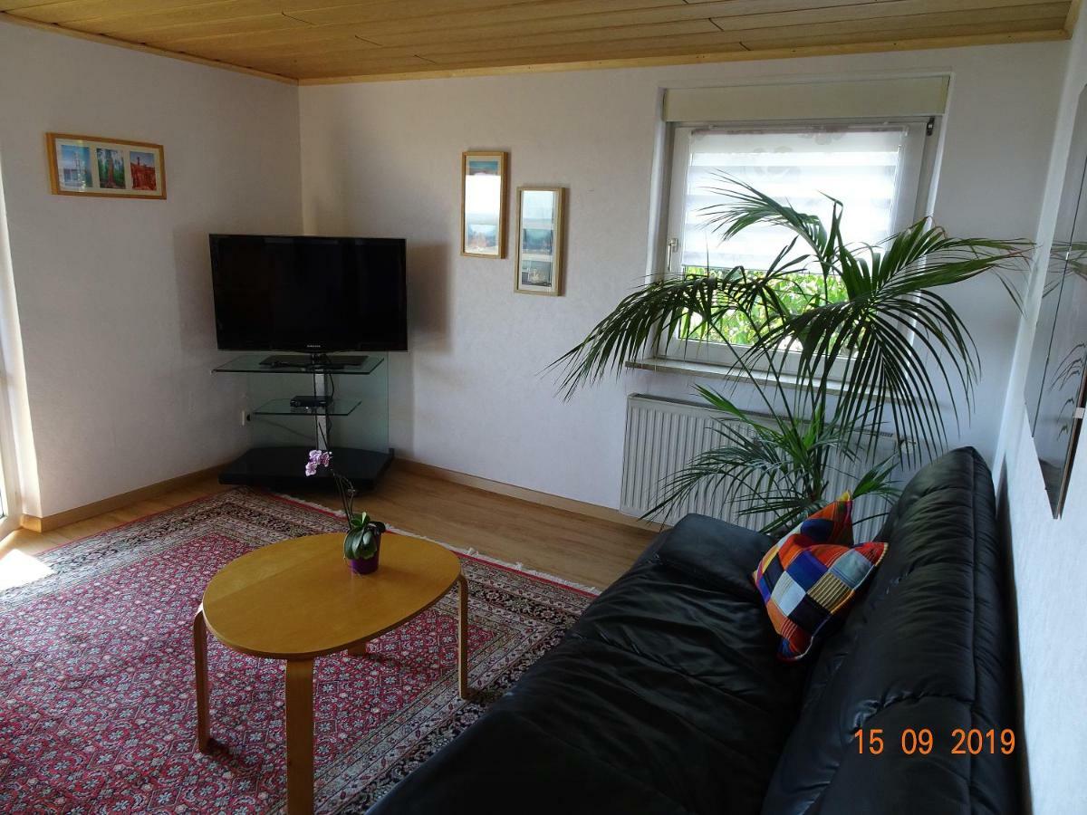 Ulmer Muenster Blick Elchingen Zewnętrze zdjęcie